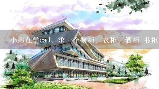 小弟在学cad，求一个橱柜、衣柜、酒柜 书柜的cad设计图纸哪位大神可以给我个啊，什么模块之类都发个谢啦