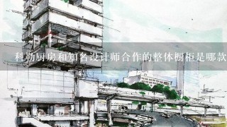 科勒厨房和知名设计师合作的整体橱柜是哪款？