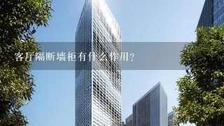 客厅隔断墙柜有什么作用？