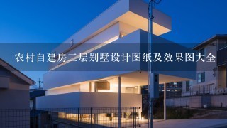 农村自建房2层别墅设计图纸及效果图大全