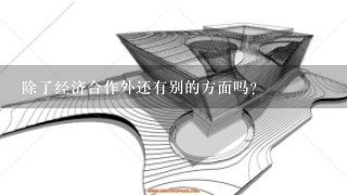 除了经济合作外还有别的方面吗