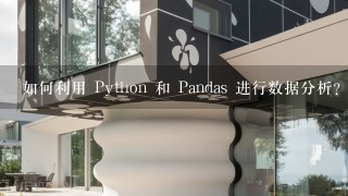 如何利用 Python 和 Pandas 进行数据分析?